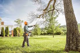 Best Leaf Removal  in West Glens Falls, NY